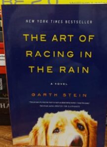 The Art of Racing in the Rain