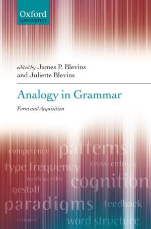 Analogy in Grammar