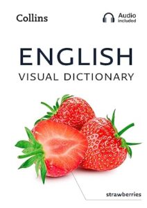 English Visual Dictionary (Colour Print)