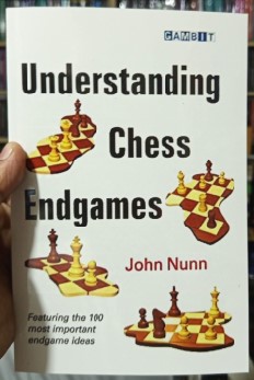 Understanding Chess Endgames
