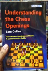 Understanding the Chess Openings