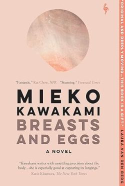 Breasts and eggs a novel