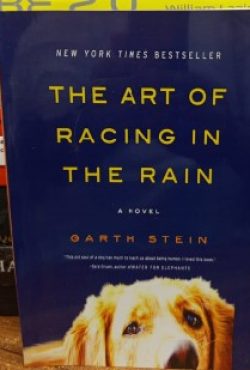 The Art of Racing in the Rain